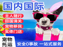 瑷珲空运地址国际宠物托运 【国